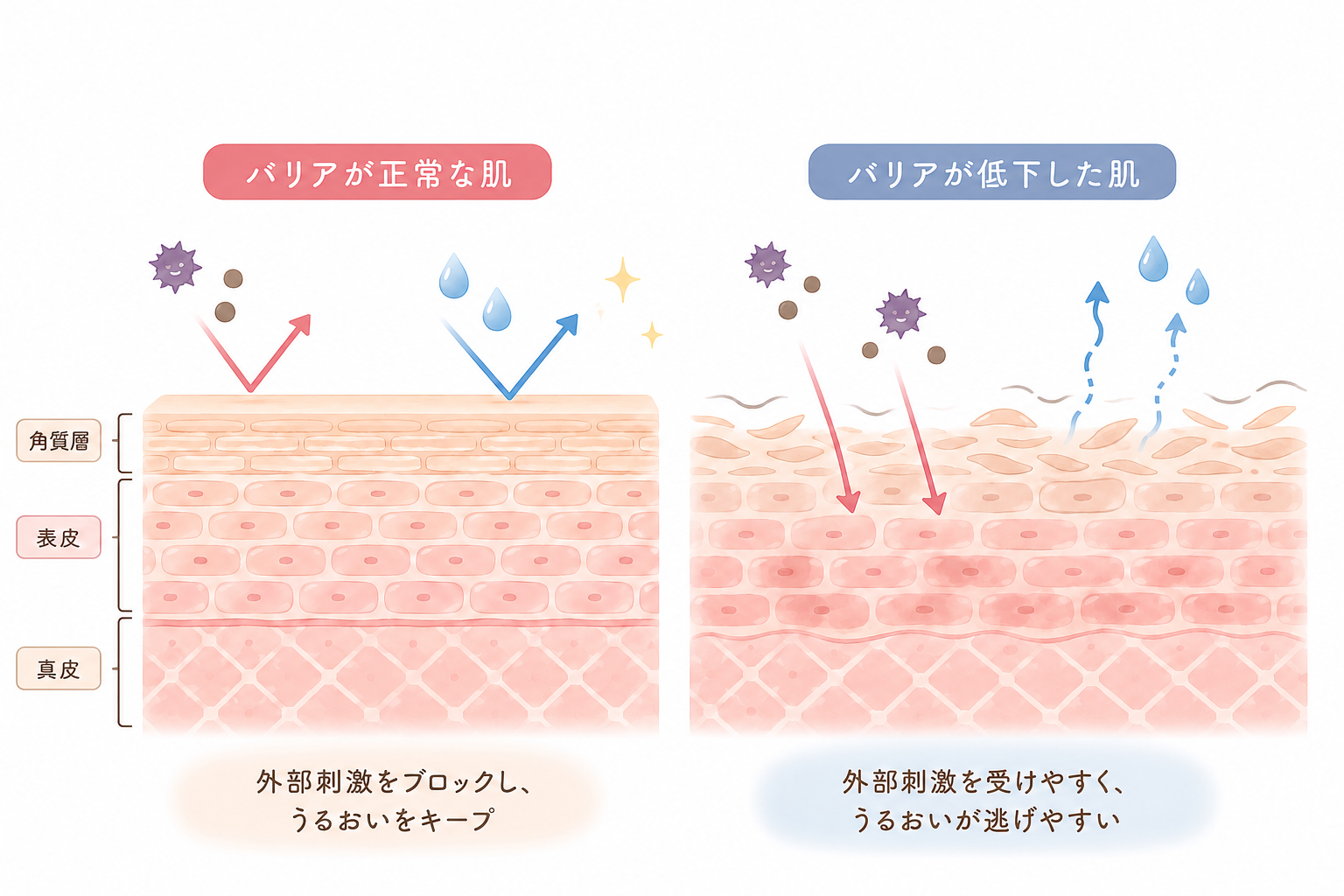 敏感肌用化粧品がお肌にやさしく感じる理由とスキンケア選び